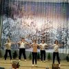 Театрализованный концерт  \"В эти зимние дни пусть сбываются мечты\" 